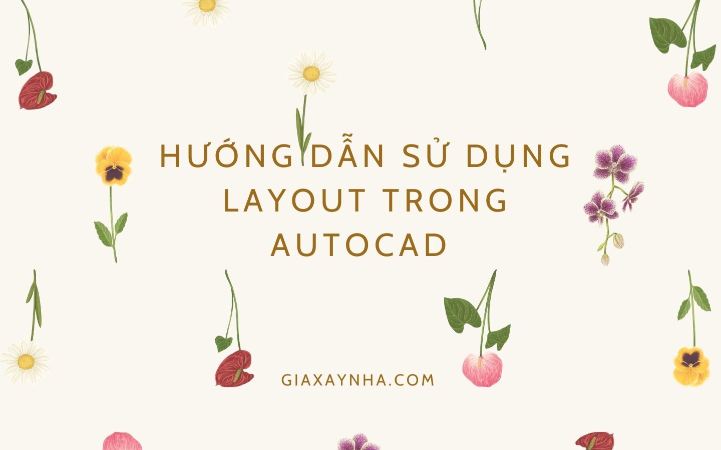 Giaxaynha.com Huong dan su dung layout trong Autocad